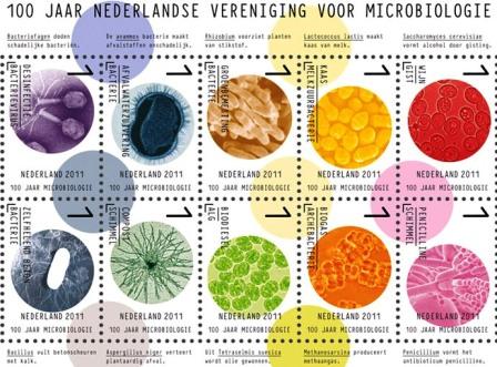 microbiologiezegels